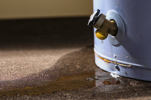 Best Water Damage Assessment and Inspection in Xtonia, PA