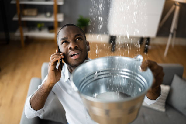 Best Residential Water Damage Restoration in Xtonia, PA