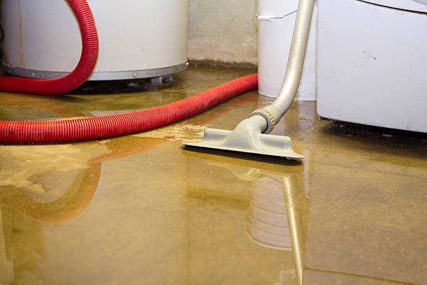 Best Basement Water Damage Restoration in Xtonia, PA